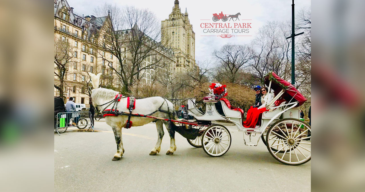 central park buggy rides