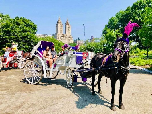 central park carriage ride