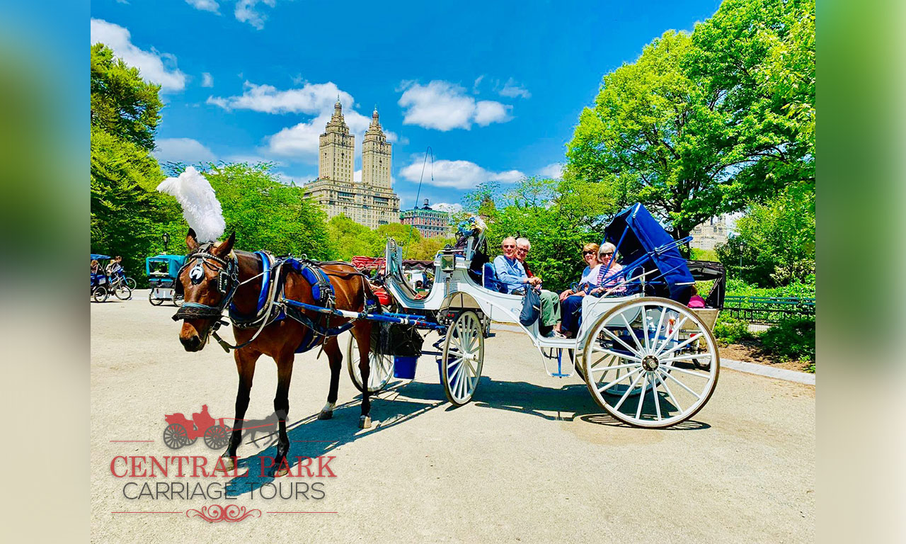 Central park tours horse carriage cheap